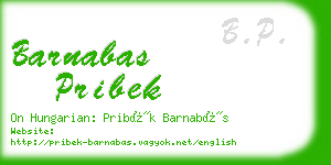 barnabas pribek business card